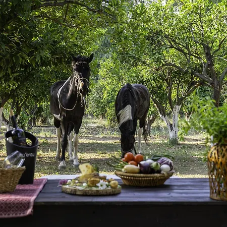 Il Monastero Geremèas