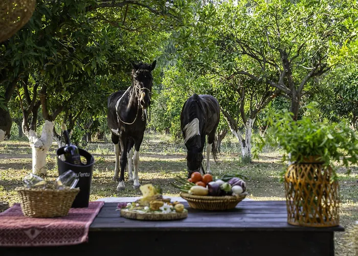 Il Monastero Geremèas
